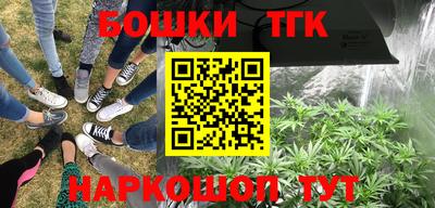 дурь Тара