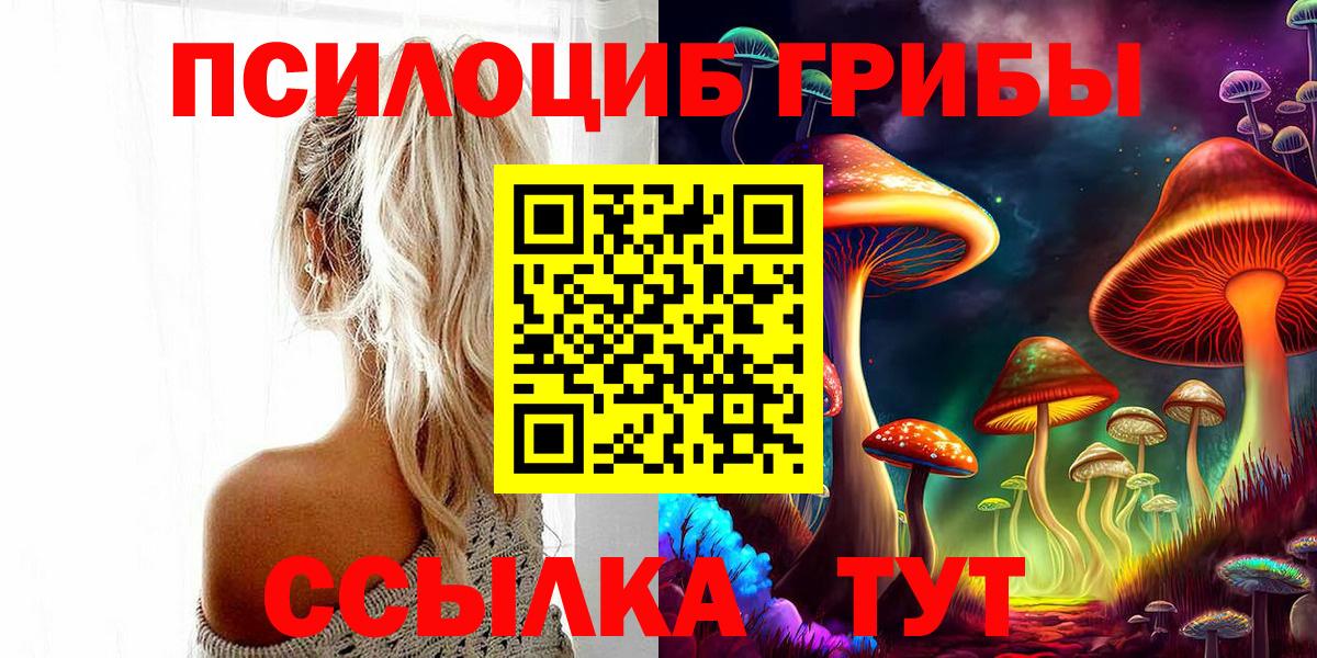 Галлюциногенные грибы прущие грибы  Вход с VPN  Михайловка 