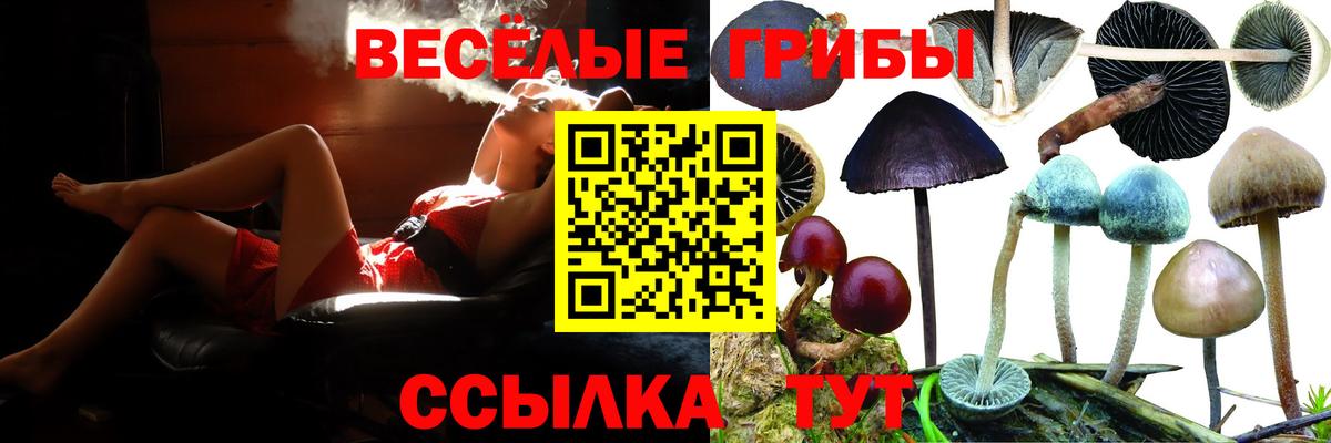 Галлюциногенные грибы мухоморы Михайловка