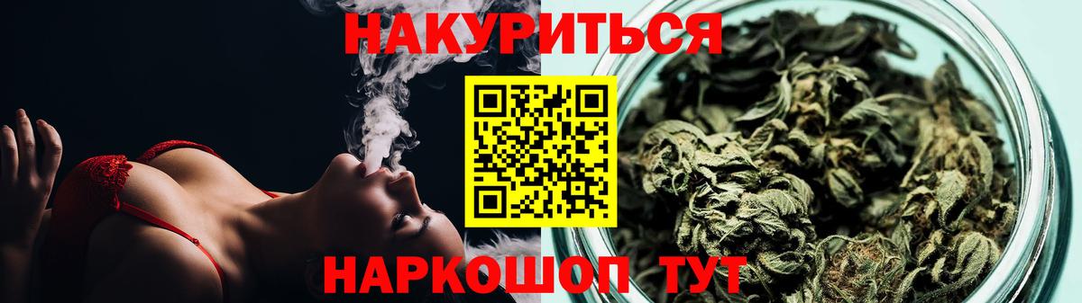 Конопля сатива Михайловка